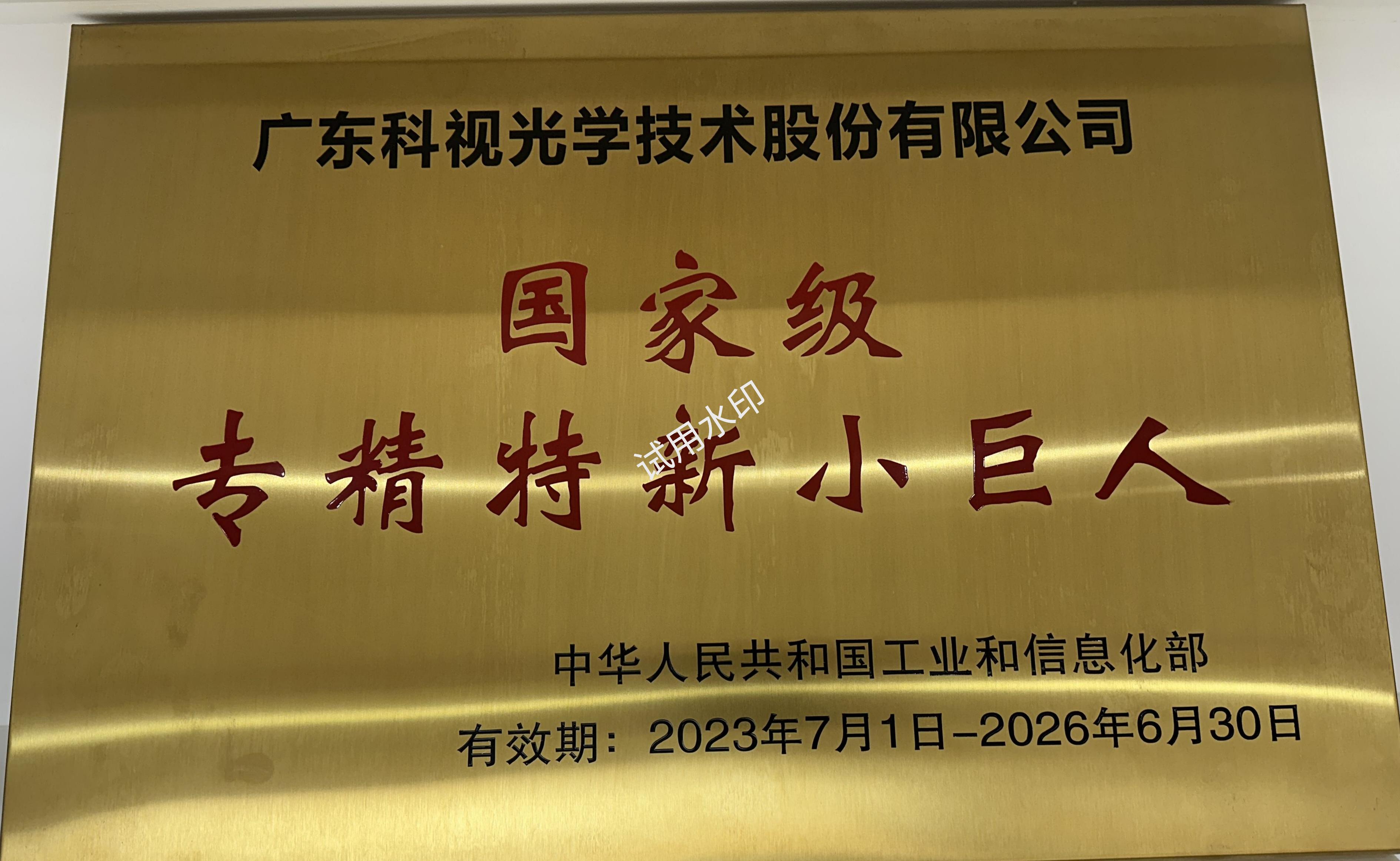 国家级专精特新小巨人